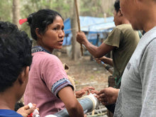 ဓာတ်ပုံကိုပြခန်းကြည့်ရှုသူသို့တင်ပါ။ROAMfilter ™ Plus အား